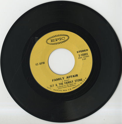 Sly & The Family Stone / スライ・アンド・ザ・ファミリー・ストーン / Family Affair / Luv N' Haight-7 (5-10805)