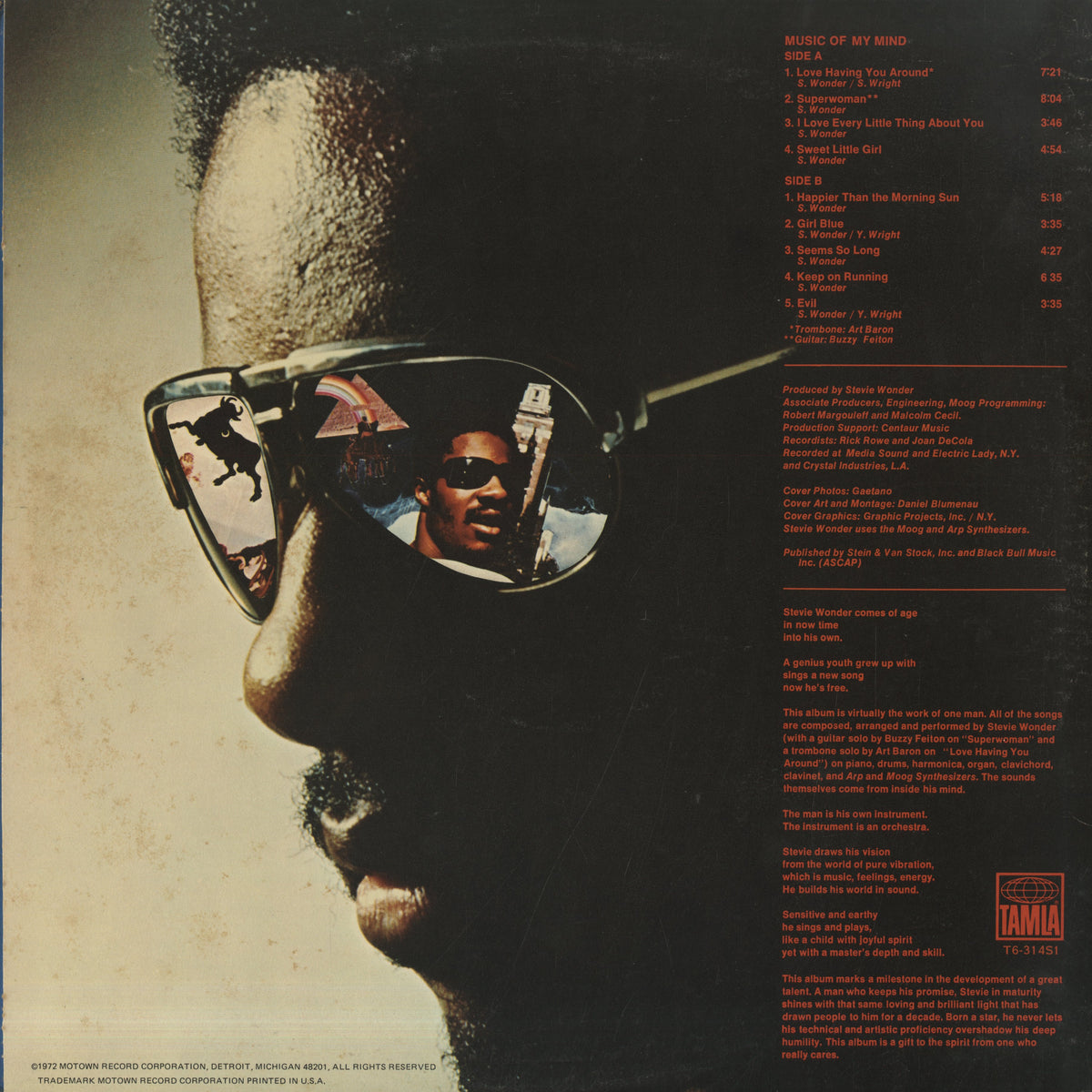 Stevie Wonder / スティーヴィー・ワンダー / Music Of My Mind (T6 314 S1)