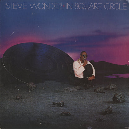 Stevie Wonder / スティーヴィ・ワンダー / In Square Circle (6134TL)