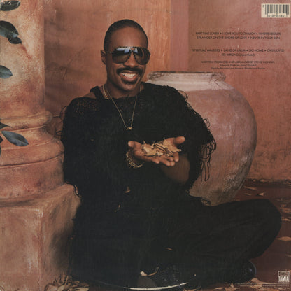 Stevie Wonder / スティーヴィ・ワンダー / In Square Circle (6134TL)