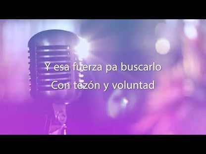 Elis Regina / エリス・レジーナ / Falso Brilhante (6349 159)