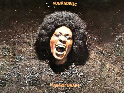 Funkadelic / ファンカデリック / Maggot Brain -180g (SEW002)