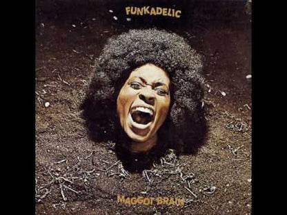 Funkadelic / ファンカデリック / Maggot Brain -180g (SEW002)
