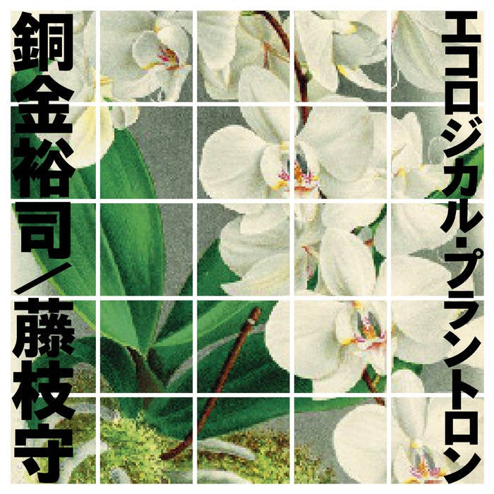 Yuji Dogane & Mamoru Fujieda / 銅金祐司 / 藤枝守 / エコロジカル・プラントン -2CD (EM1202DCD)