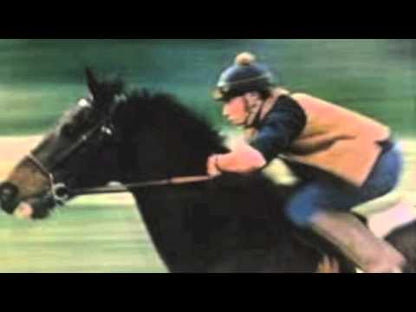 Stephen Stills / スティーヴン・スティルス / Thoroughfare Gap (25AP1144)