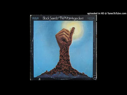 The Main Ingredient / メイン・イングレディエント / Black Seeds (LSP-4483)