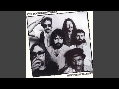 The Doobie Brothers / ドゥービー・ブラザーズ / What A Fool Believes / Don't Stop To Watch The Wheels -7 ( WBS8725 )