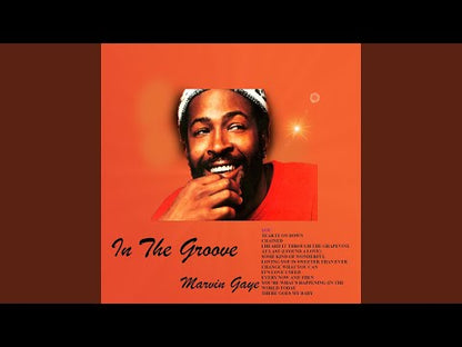 Marvin Gaye / マーヴィン・ゲイ / I Heard It Through The Grapevine (TS285)