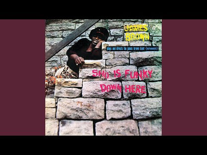 James Brown / ジェームス・ブラウン / Sho Is Funky Down Here (1110)