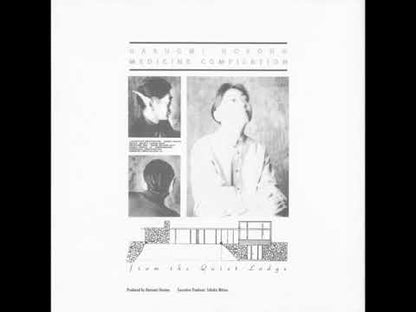Haruomi Hosono / 細野晴臣 / Medicine Compilation from the Quiet Lodge -2LP (MHJL73/4)