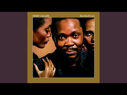 Terry Callier / テリー・キャリアー / Turn You To Love (6E-189)