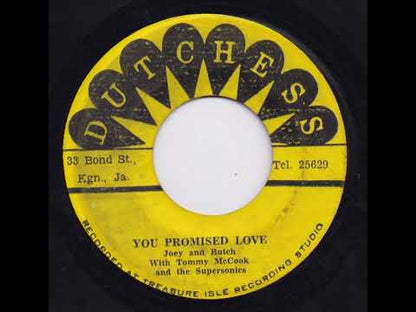 Joey and Butch – You Promised Love / Oh What A Smile Can Do (T033) 7inch JPN Treasure Isle リイシュー