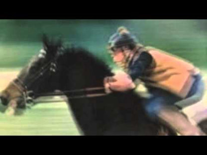 Stephen Stills / スティーヴン・スティルス / Thoroughfare Gap (25AP1144)