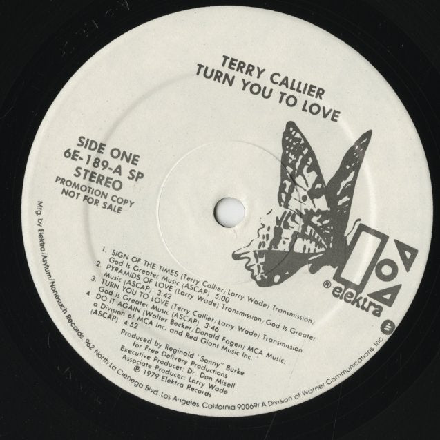 Terry Callier / テリー・キャリアー / Turn You To Love (6E-189)
