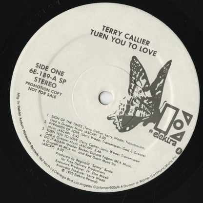 Terry Callier / テリー・キャリアー / Turn You To Love (6E-189)