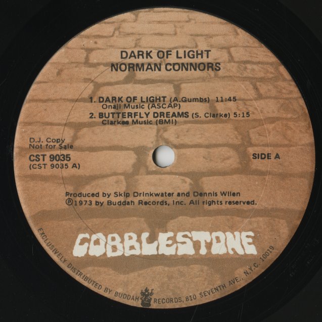 Norman Connors / ノーマン・コナーズ / Dark Of  Light (CST9035)