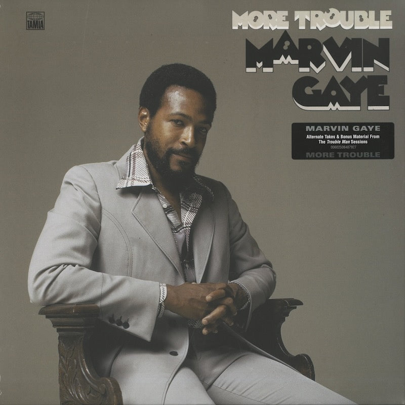 Marvin Gaye / マーヴィン・ゲイ / More Trouble (180g)
