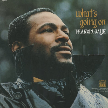 Marvin Gaye / マーヴィン・ゲイ / What's Going On (180g)