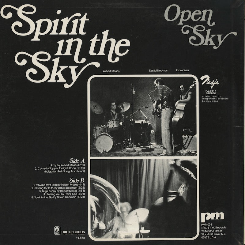 Open Sky / オープン・スカイ / Spirit in The Sky (PA-7110)
