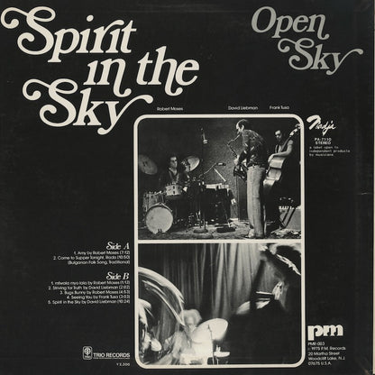 Open Sky / オープン・スカイ / Spirit in The Sky (PA-7110)