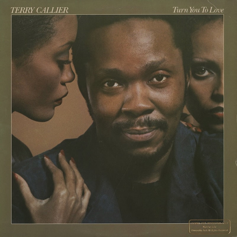 Terry Callier / テリー・キャリアー / Turn You To Love (6E-189)