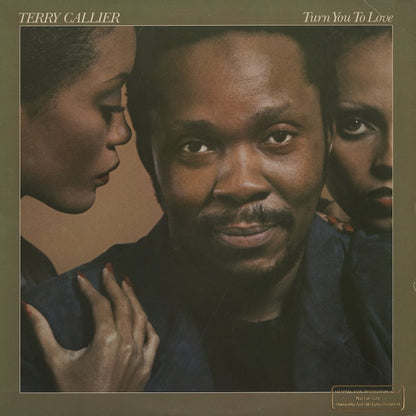 Terry Callier / テリー・キャリアー / Turn You To Love (6E-189)
