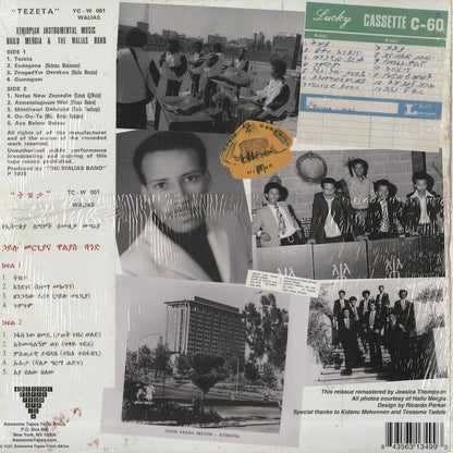 Hailu Mergia / ハイル・メルギア / Tezeta (ATFA041)