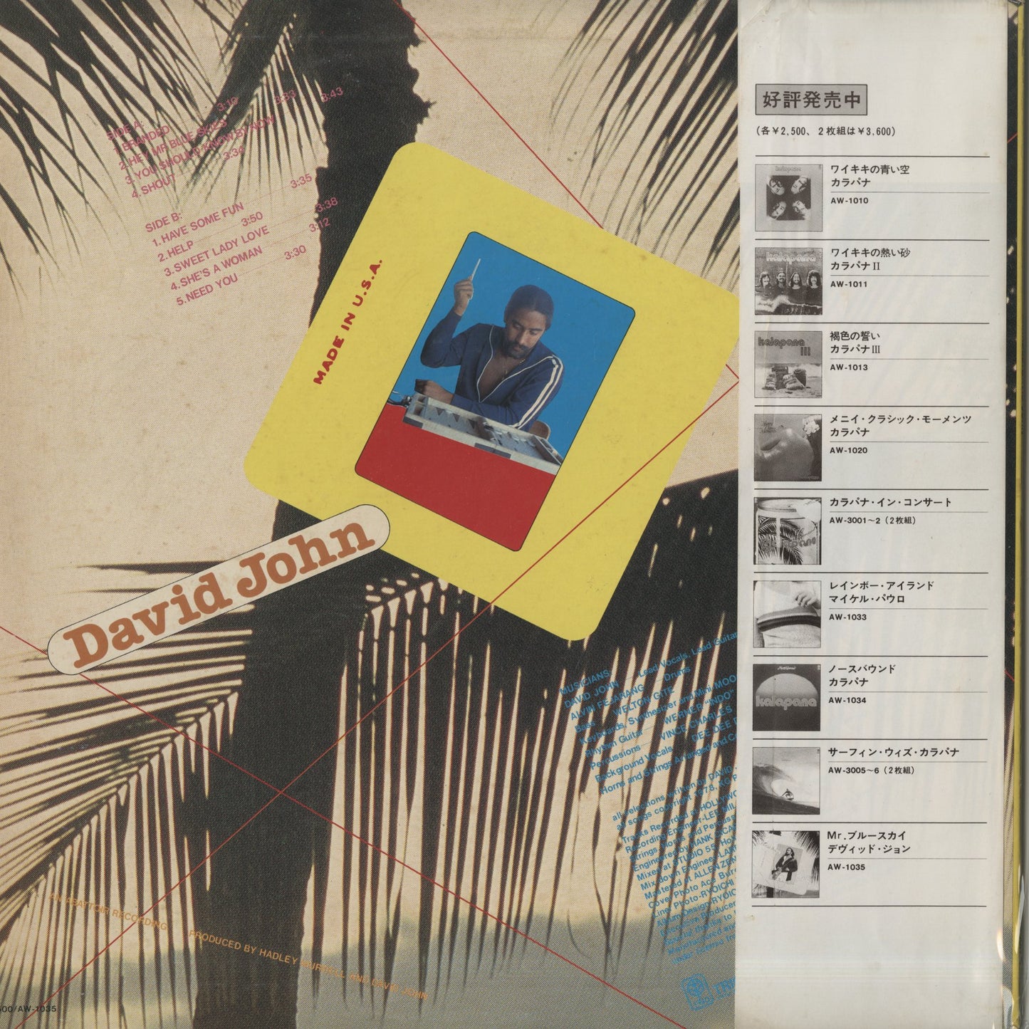 David John / デヴィッド・ジョン / Branded (AW-1035)