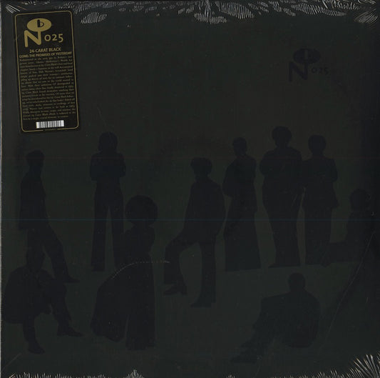 The 24-Carat Black - Gone: The Promises Of Yesterday (N 025) US Numero Group｜新品LP