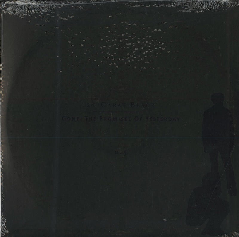 The 24-Carat Black - Gone: The Promises Of Yesterday (N 025) US Numero Group｜新品LP back