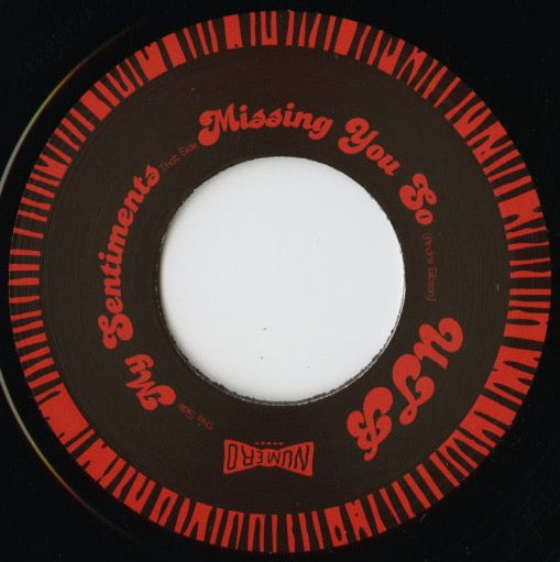 Universal Togetherness Band / ユニヴァーサル・トゥギャザネス・バンド / My Sentiments / Missing You So -7 (ES052)