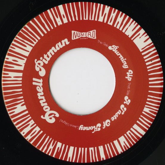 Donnell Pitman / ドネル・ピットマン / Burning Up / A Taste Of Honey -7 (ES045)