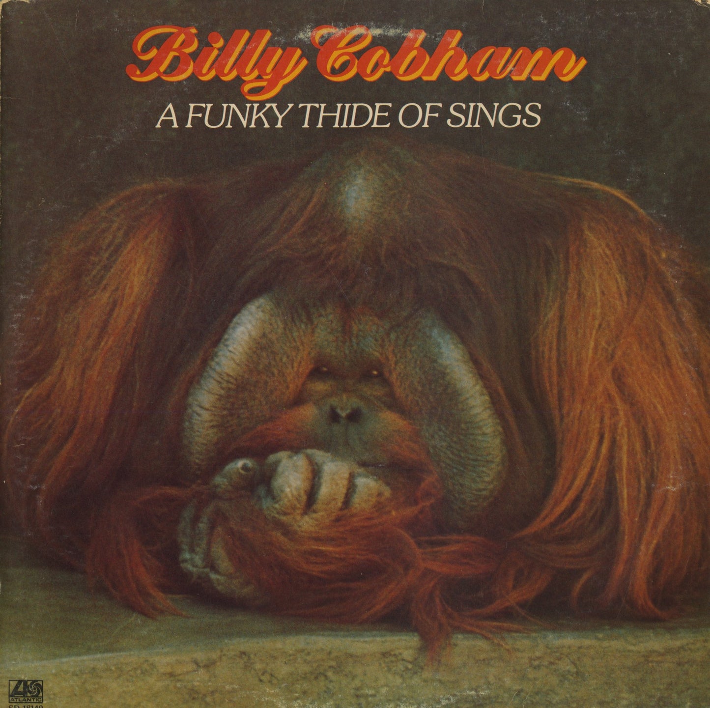 Billy Cobham / ビリー・コブハム / A Funky Thide Of Sings (SD 18149)