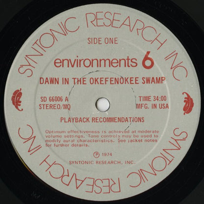 Environments / disc 6 (SD66006)