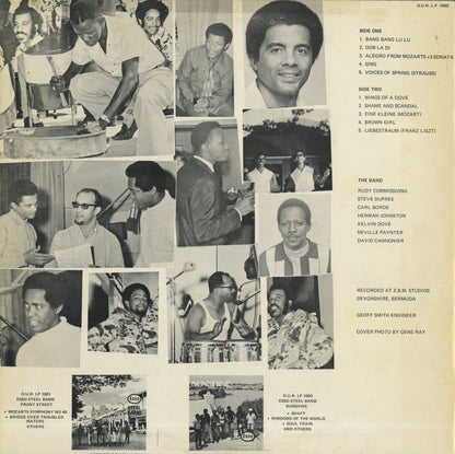 Esso Steel Band / エッソ・スチール・バンド / Bermuda Gold (LP 1002)