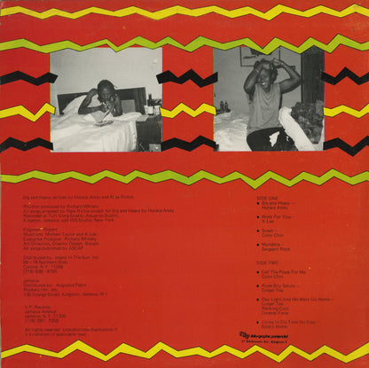 Horace Andy / ホレス・アンディ / Big & Heavy Meets Various Artist