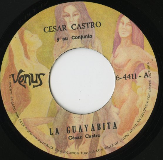 Cesar Castro Y Su Conjunto / La Guayabita / Volvio La Tabaquera -7 ( 6-4411 )