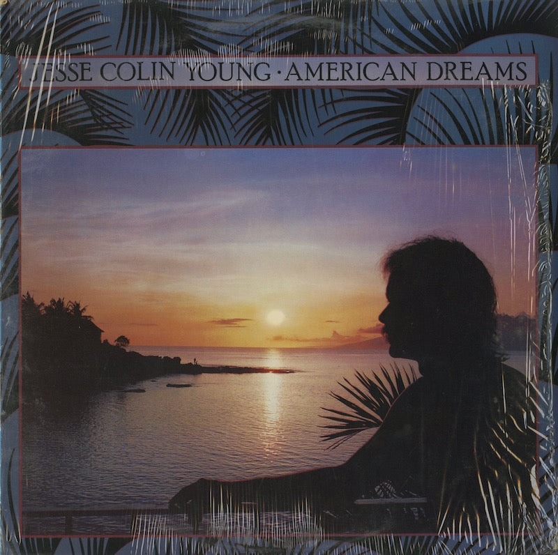 Jesse Colin Young / ジェシ・コリン・ヤング / American Dreams (6E-157)