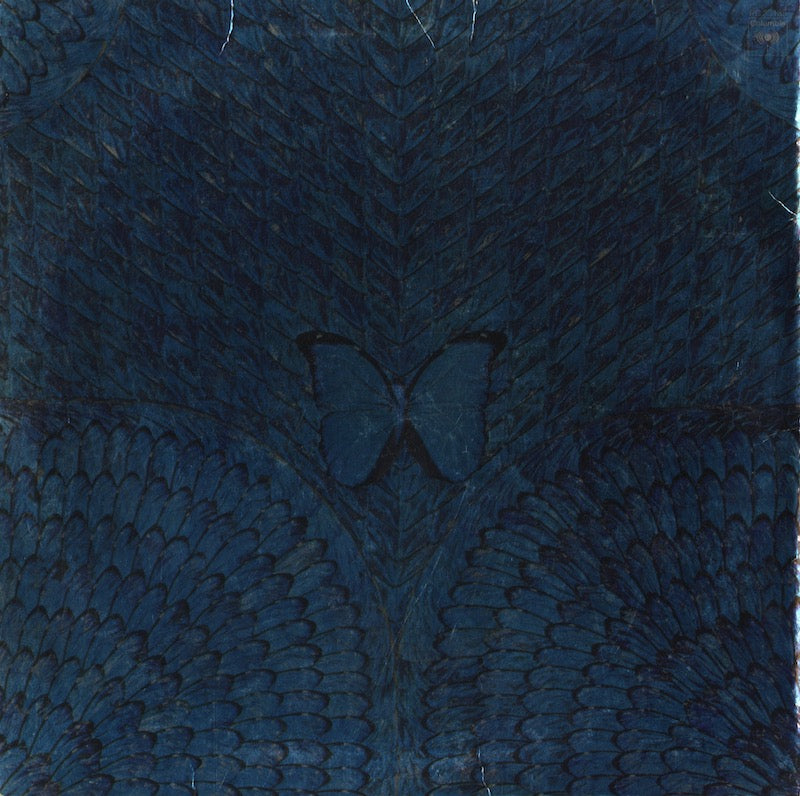Santana / サンタナ / Borboleta (PC33135)