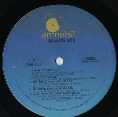 Black Ice / ブラック・アイス / Black Ice (HDM 2001)